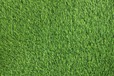 GRASS 35